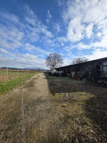 Un camino rural de tierra se extiende hacia delante, bordeado de hierba y edificios agrícolas. Hay algunos coches aparcados bajo un árbol solitario, mientras el cielo luce azul y despejado.
