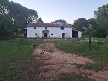 Uma casa de fazenda rústica branca, com telhado de telhas vermelhas, fica cercada por árvores. Dois gatos estão no caminho de terra que leva até a entrada. Um cenário tranquilo.
