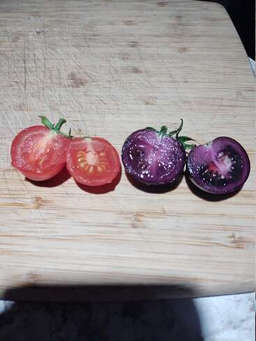 Sur une planche à découper en bois, deux tomates coupées en deux sont présentées : l'une est rouge avec un aspect classique, tandis que l'autre est d'un violet foncé saisissant.