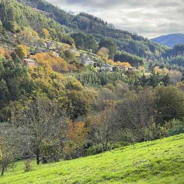 Colinas verdes y densos bosques cubren el paisaje, salpicado de casas dispersas. La escena es apacible, con colores otoñales y cielos nublados que crean calma.