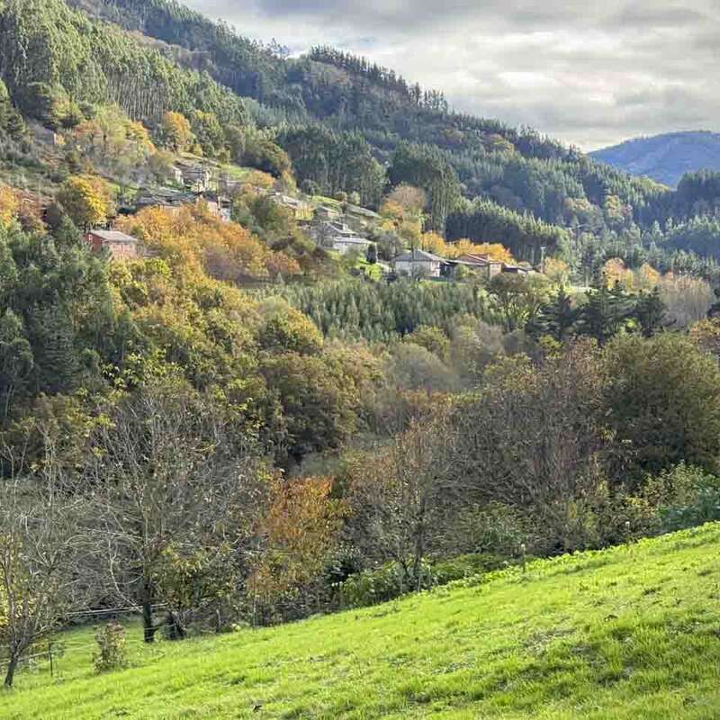 Colinas verdes y densos bosques cubren el paisaje, salpicado de casas dispersas. La escena es apacible, con colores otoñales y cielos nublados que crean calma.