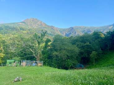 Im Vordergrund erstreckt sich eine saftig grüne Wiese mit zwei Enten, umgeben von Bäumen, einem Wohnwagen, Holzzäunen und majestätischen Bergen unter einem strahlend blauen Himmel.