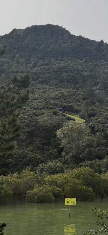 Eine ruhige, bewaldete Berglandschaft mit dichten, grünen Bäumen, einem kleinen Haus in der Ferne und einem überfluteten Gebiet darunter, in dem ein Warnschild für eine 12-Meter-Hochspannungsleitung zu sehen ist.