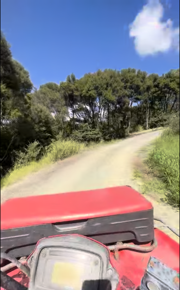 Ein rotes Geländemotorrad fährt auf einer kurvigen Schotterstraße durch üppig grüne Vegetation, unter einem strahlend blauen Himmel mit ein paar Wolken.