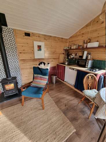 A cozy wooden cabin interior with a wood-burning stove, blue armchair with pillow, a cat on top, small kitchen, dining table, and natural, rustic decor.