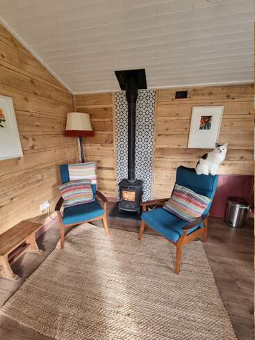 A cozy wooden room features two blue armchairs with striped pillows, a wood stove, a cat on a chair, framed art, and a woven rug.