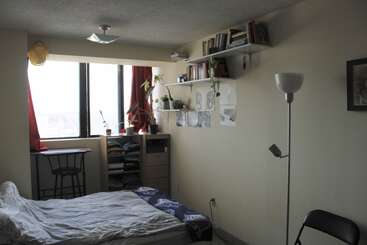 Um quarto aconchegante e minimalista com cama, mesinha, cadeira, cômoda, estantes de livros, vasos de plantas, luminária de pé, arte na parede e janela grande.