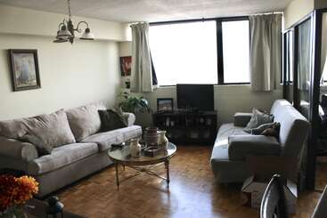 Uma sala de estar aconchegante com dois sofás, uma mesa de centro de vidro, TV, janelas grandes com cortinas, piso de madeira, plantas, quadros e itens decorativos, criando um ambiente acolhedor.