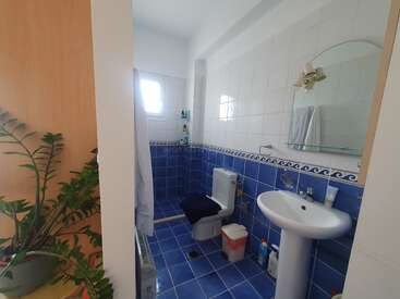 Este cuarto de baño cuenta con azulejos azules y blancos, una zona de ducha, un inodoro con tapa oscura, un lavabo, un espejo, una ventana, productos de limpieza y una planta frondosa cerca.