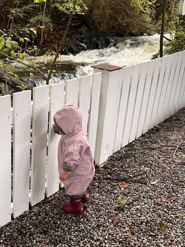 Un niño pequeño, vestido con un chubasquero rosa y botas granates, se asoma por encima de una valla blanca para contemplar un arroyo caudaloso, rodeado de árboles y follaje otoñal.