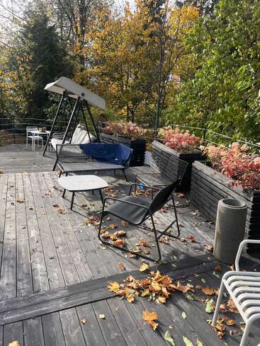 Una terraza de madera salpicada de hojas otoñales. Sillas de exterior, un columpio, mesas y macetas con plantas de follaje colorido. Rodeada de árboles verdes y amarillos bajo la luz natural del sol.