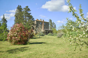 A charming stone house stands amid lush green grass, flowering shrubs, and tall trees, under a bright blue sky scattered with fluffy white clouds.