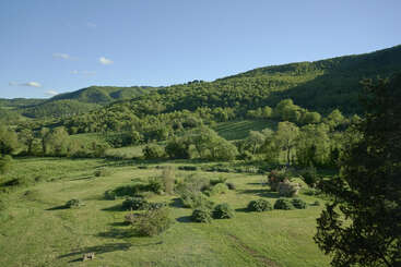 A serene landscape features rolling green hills, a grassy meadow with scattered bushes, dense forests in the background, and a clear blue sky with sparse clouds.