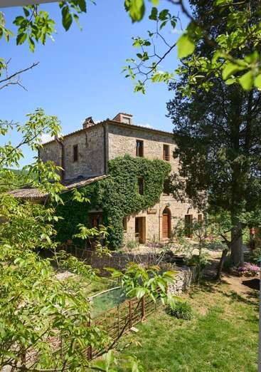 A charming rustic stone house covered in climbing ivy sits amidst lush greenery, trees, and bright sunlight, evoking a peaceful, idyllic countryside atmosphere and retreat.