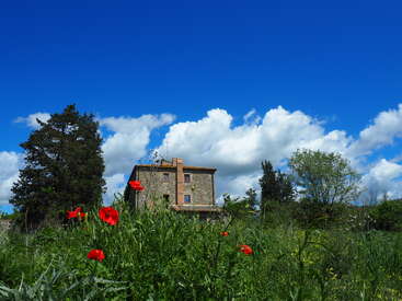 L'image représente une scène sereine d'une maison en pierre nichée au milieu d'une verdure luxuriante et de fleurs d'un rouge éclatant, sur fond de ciel bleu brillant parsemé de nuages blancs.