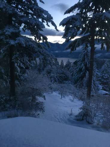 L'image représente un paysage serein et enneigé avec des arbres, des montagnes et un lac en arrière-plan, évoquant un sentiment de tranquillité et de beauté naturelle.