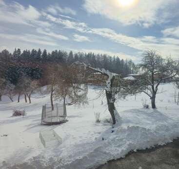 Une journée d'hiver ensoleillée, avec la lumière du soleil qui brille sur une cour enneigée, des arbres sans feuilles, un trampoline et une forêt en arrière-plan. On aperçoit des maisons.