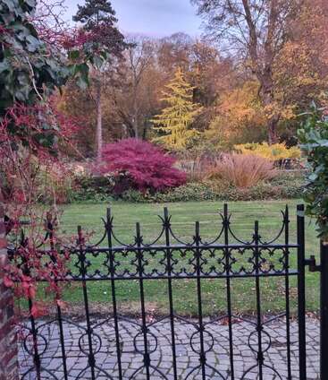 A black ornate iron gate opens to a garden with vibrant autumn colors. Trees display yellow, red, and orange leaves, surrounded by green grass and shrubs.