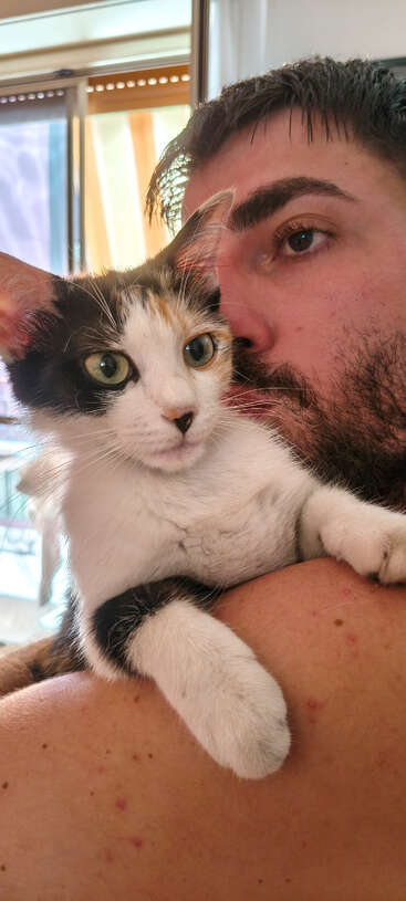 Un homme serre tendrement dans ses bras un chat noir et blanc aux yeux verts. Le chat semble calme et curieux, tandis que l'homme pose son visage contre lui.