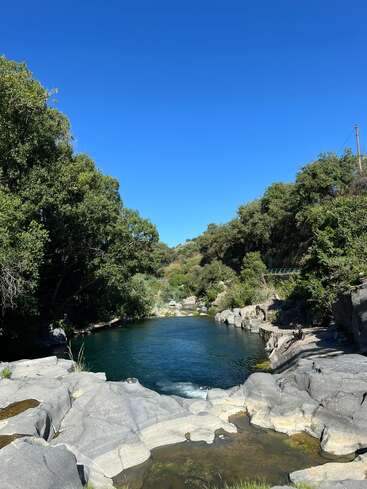 Un río sereno discurre por un terreno rocoso, rodeado de frondosos árboles verdes bajo un cielo azul claro y brillante. La tranquilidad y la belleza de la naturaleza quedan aquí maravillosamente plasmadas.