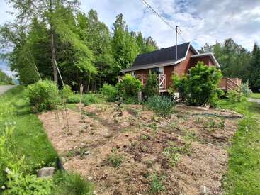 Ein gemütliches Haus mit schwarzem Dach steht inmitten üppig grüner Bäume. Im Vordergrund sieht man einen Garten mit jungen Pflanzen, umgeben von Mulch und Grün.