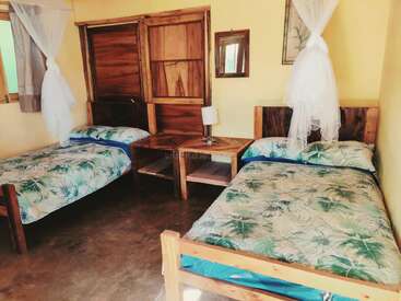 Cette chambre confortable comprend deux lits simples avec une literie tropicale, des meubles en bois, des murs jaunes, des moustiquaires, une table de nuit, une lampe, une petite fenêtre et des décorations murales.