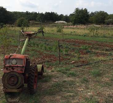 La imagen representa un rotocultivador rústico y desgastado situado en un jardín, rodeado de diversas plantas y árboles, con un cielo nublado de fondo.