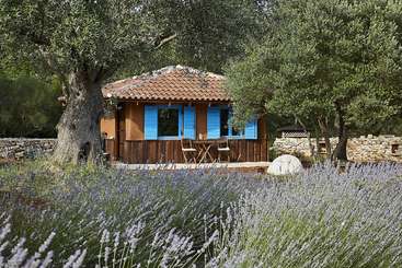 La imagen representa un entorno sereno al aire libre, con una pequeña casa de tejado a dos aguas, rodeada de árboles y arbustos, y un cielo despejado. La escena destila tranquilidad y belleza natural.