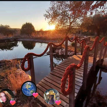 Eine Holzbrücke mit roten Seilgeländern überspannt bei Sonnenuntergang einen stillen Teich. Bäume, Spiegelungen und das leuchtende Sonnenlicht schaffen eine friedliche, rustikale und romantische Atmosphäre. Social-Media-Symbole im Vordergrund.