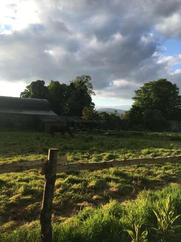 Eine friedliche ländliche Szene mit saftig grünem Gras, einem Holzzaun, einem grasenden Pferd, Bäumen, einem rustikalen Gebäude und dramatischen Wolken, die vom abendlichen Sonnenlicht beleuchtet werden. Eine ruhige, ländliche Schönheit.