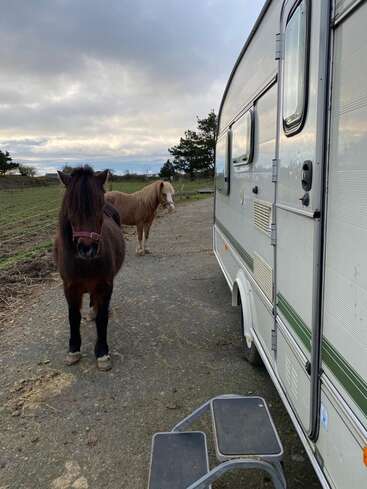 The image depicts a serene scene of two ponies standing near a white camper van on a dirt path, set against a cloudy sky.