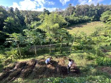 Duas pessoas estão trabalhando em um jardim verde e exuberante, cercado por árvores e plantas, sob um céu azul brilhante com nuvens, em um ambiente rural.