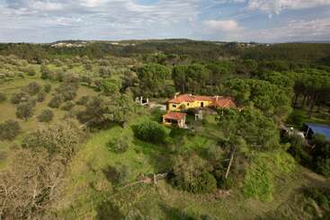 A yellow house with a red roof sits surrounded by dense green trees and open grassy fields, under a partly cloudy sky in a peaceful countryside setting.