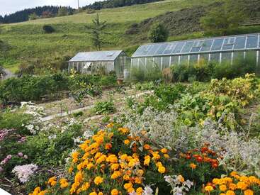Un jardin luxuriant regorgeant de fleurs colorées et de légumes verts, niché dans un paysage rural avec deux serres en verre et des collines verdoyantes en arrière-plan.