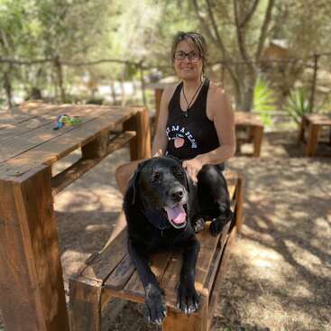 The image depicts a woman sitting on a wooden bench with a black dog, surrounded by trees and wooden tables, in a serene outdoor setting.