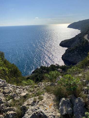 Une vue côtière à couper le souffle avec des falaises rocheuses, de la verdure vibrante et une mer bleue étincelante sous le soleil. Le rivage s'incurve doucement et la lumière du soleil s'y reflète magnifiquement.