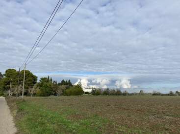 Un paysage rural avec un champ herbeux, des arbres épars et un chemin de terre. Des lignes électriques traversent le paysage. Le ciel est nuageux et des nuages blancs se forment.