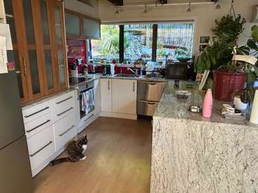 A cozy kitchen with white cabinets, marble countertop, and wooden floor. Large window provides natural light. Houseplants, red appliances, and a cat sitting on the floor.