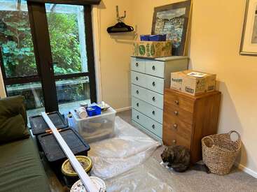 A small room with packed boxes, plastic bins, and painting supplies. There’s a cat grooming itself on the floor, dresser drawers, window, and indoor greenery outside.