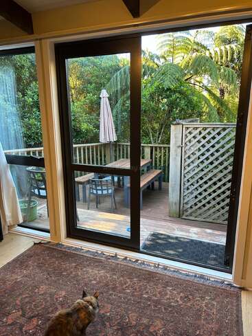 A cozy indoor room with a patterned rug, a cat, and large glass sliding doors opening to a wooden deck surrounded by lush green plants and trees.
