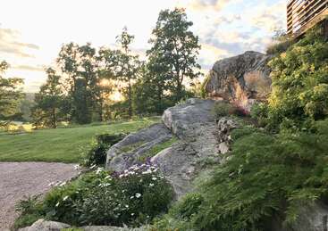 La puesta de sol ilumina un tranquilo jardín con flores silvestres, grandes rocas, una exuberante vegetación y árboles altos. El cielo resplandece suavemente, creando un ambiente tranquilo y natural.