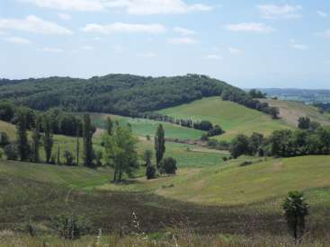 L'image représente un paysage serein de collines, d'arbres et de champs, avec un ciel bleu et des nuages blancs en arrière-plan.