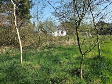 A white house sits partially hidden behind thin trees and overgrown grass under a clear blue sky, creating a peaceful, secluded, and natural countryside atmosphere.