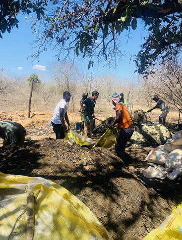 Eine Gruppe von Menschen arbeitet im Freien, schaufelt Erde und füllt gelbe Säcke unter einem Baum. Die Landschaft ist trocken, die Bäume sind blattlos und der Himmel ist blau.