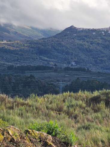 Colinas onduladas cobertas de árvores e grama verdejantes, pequenas estruturas de vilarejo empoleiradas nas colinas distantes, sob um céu nublado, criando uma paisagem pacífica.