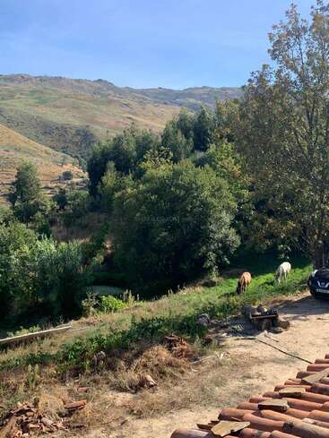Uma paisagem rural tranquila com árvores verdes, colinas onduladas e cavalos pastando perto de um carro. Em primeiro plano, você vê telhas e objetos espalhados.