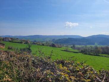This image shows a peaceful rural landscape with green fields, scattered houses, bushes in the foreground, distant hills, and a bright blue sky with few clouds.
