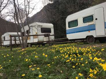 The image depicts a serene scene of two vintage caravans parked in a grassy area, surrounded by trees and yellow flowers, with a mountainous backdrop.