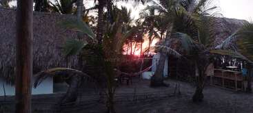 La imagen representa una serena escena tropical, con palmeras y una tranquila masa de agua, con un pequeño edificio al fondo, que evoca una sensación de relajación y belleza natural.
