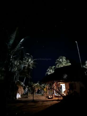 La imagen representa un sereno entorno tropical nocturno, con palmeras y un edificio con una puerta abierta, sobre un cielo oscuro.